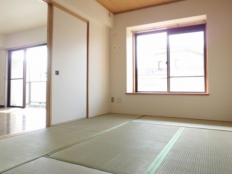 Living and room. Bright Japanese-style room