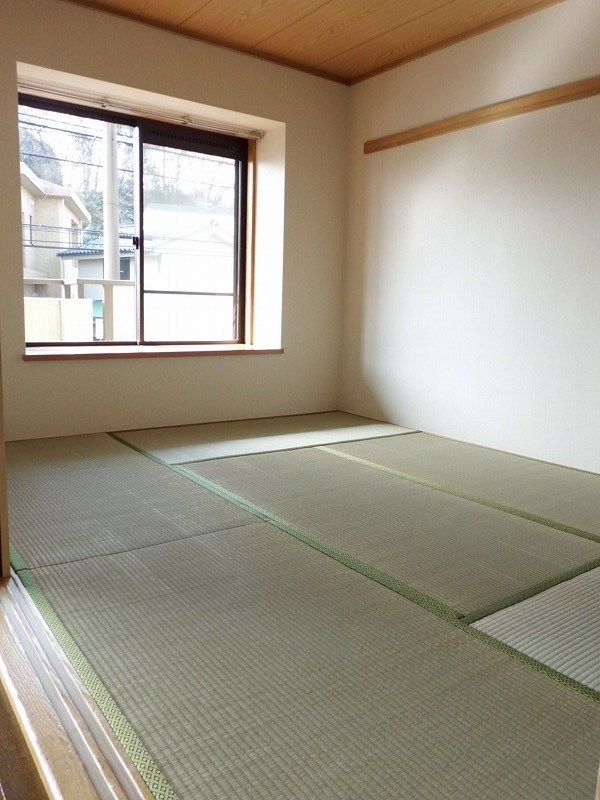 Living and room. What such kotatsu