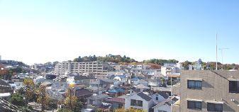 Local appearance photo. View