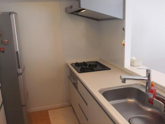 Kitchen. Indoor (12 May 2013) Shooting