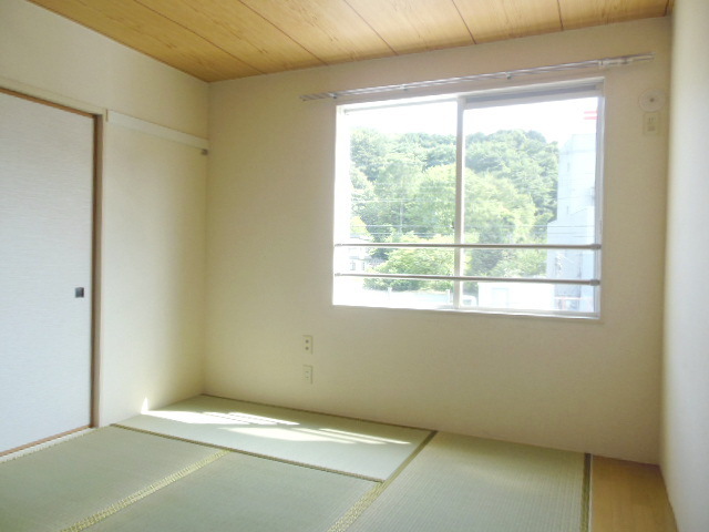 Other room space. South-facing Japanese-style rooms