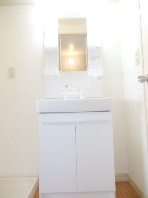 Washroom. With handheld shower independent wash basin