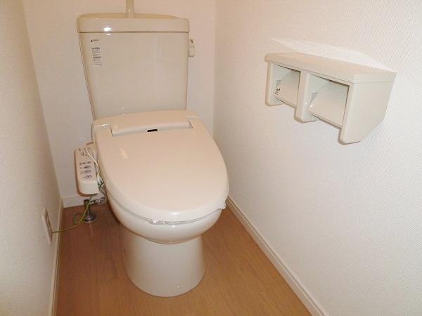 Same specifications photos (Other introspection). Same specifications complete example of construction (toilet)