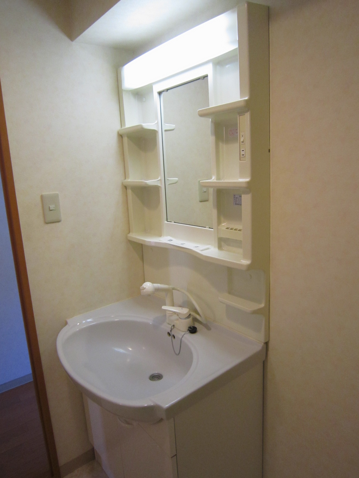 Washroom. Shampoo dresser