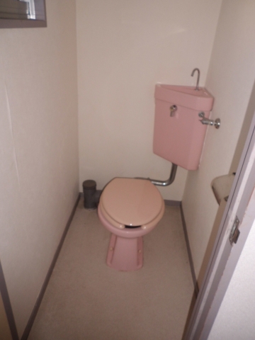 Toilet. Western-style toilet