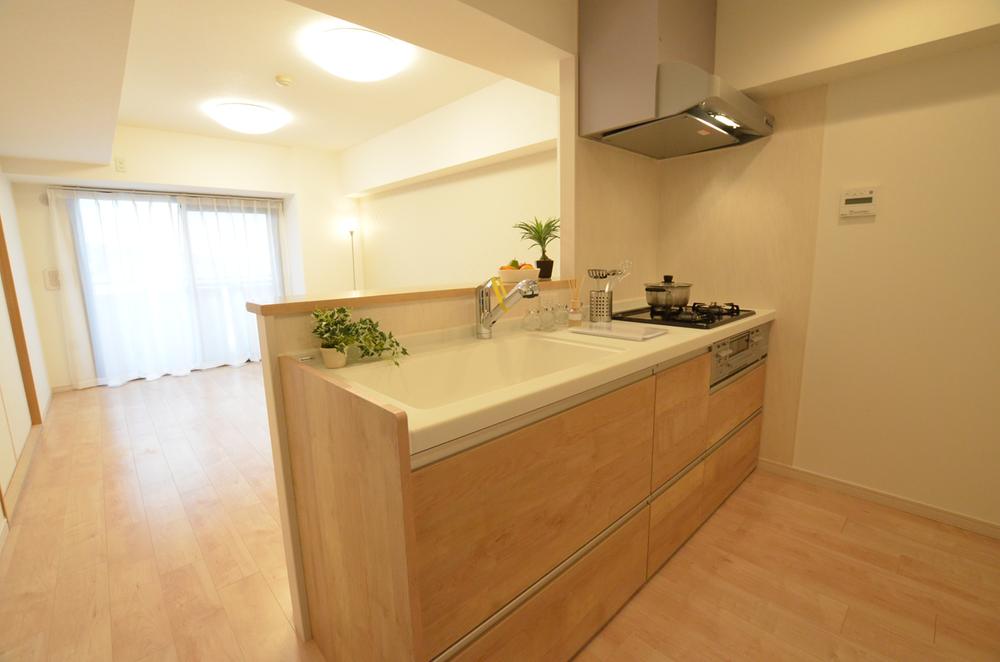 Kitchen. Indoor (12 May 2013) Shooting