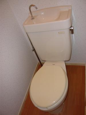 Other. Toilet