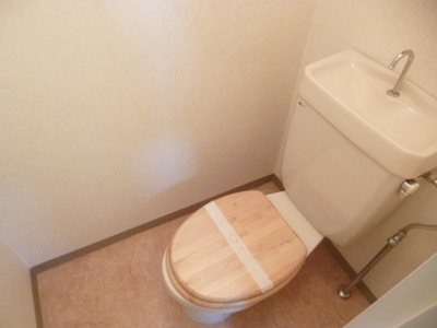 Toilet. Clean toilet ☆