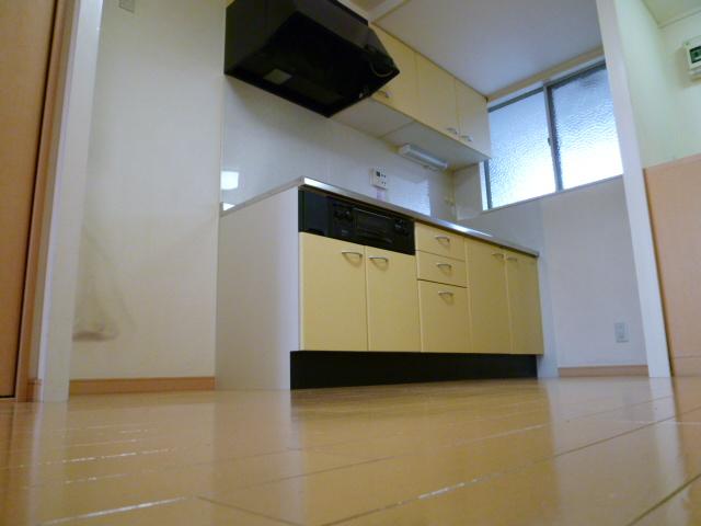 Kitchen. Indoor (11 May 2013) Shooting