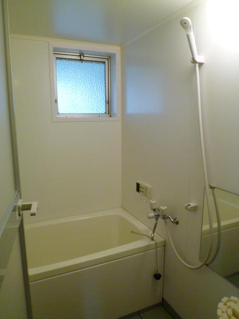 Bathroom. Indoor (11 May 2013) Shooting