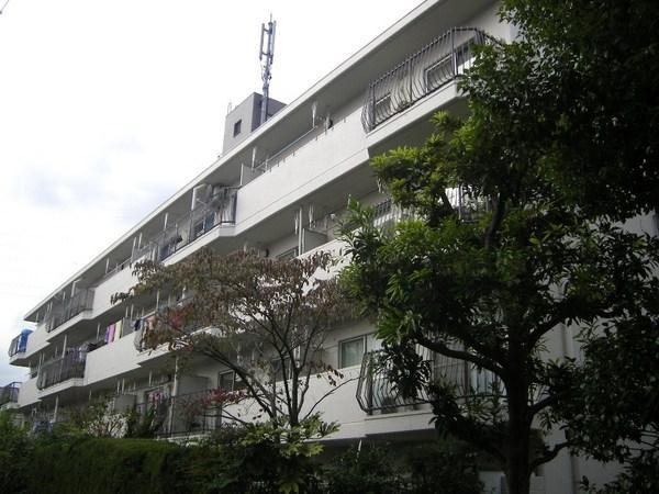 Local appearance photo. Local (10 May 2013) Shooting