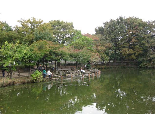 park. 1271m until Kikuna pond park