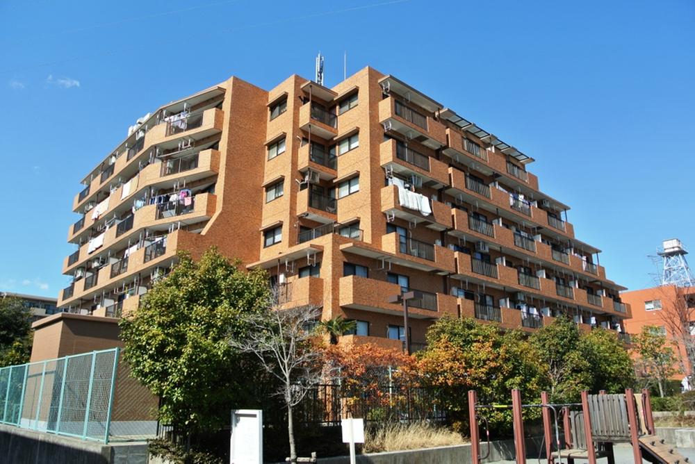 Local appearance photo. Local (February 2013) Shooting