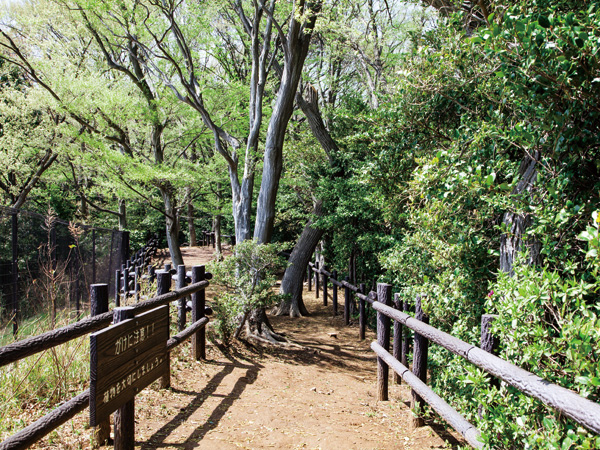 Surrounding environment. Forest of Kumano Shrine Citizen (7 min walk / About 490m)