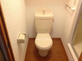 Toilet. Current state priority