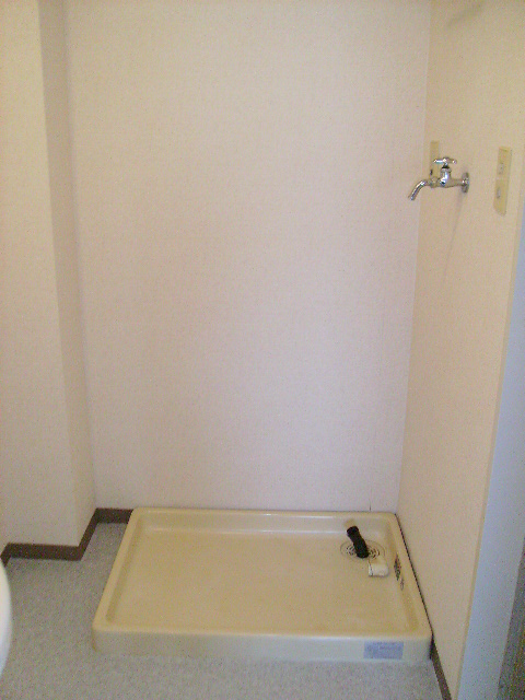 Washroom. Washing machine Storage