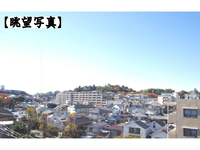 View photos from the dwelling unit. View from local