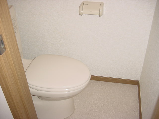 Toilet. Another Room No. file photo