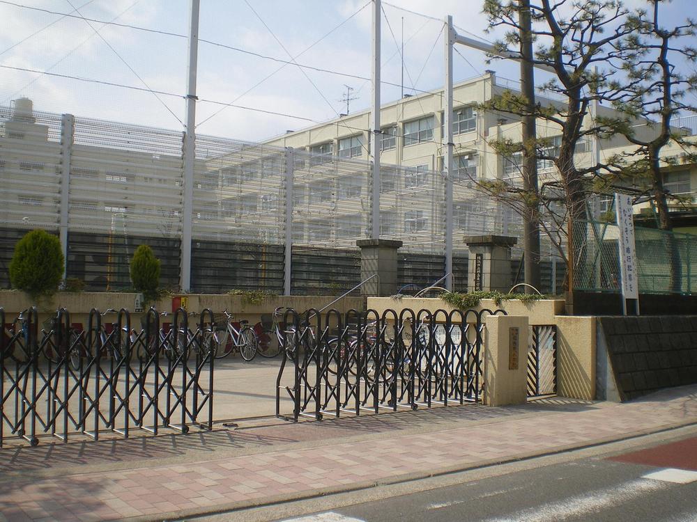 Primary school. Municipal Tsunashimahigashi elementary school (about 120m)