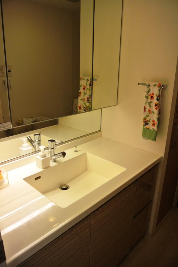 Wash basin, toilet. Indoor (12 May 2013) Shooting