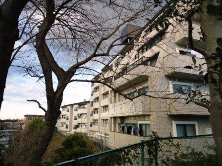 Local appearance photo. Local (12 May 2013) Shooting