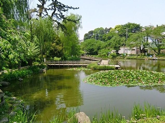 park. 800m until Shirahata pond park