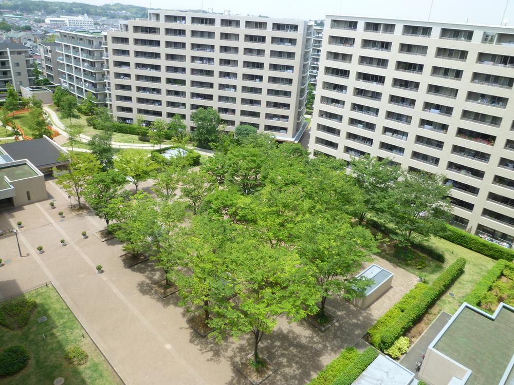 Other local. Local (10 May 2013) Shooting