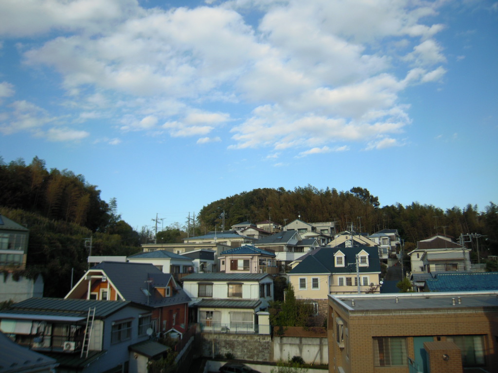 View. View from Japanese-style side balcony