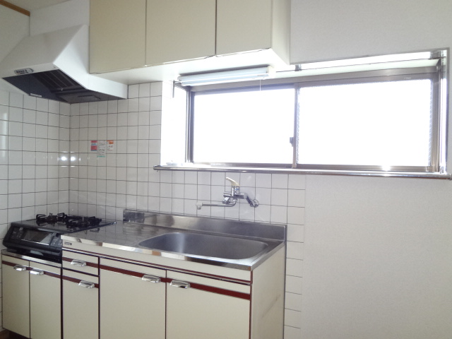 Kitchen. Bright kitchen gas stove installed certain types of window