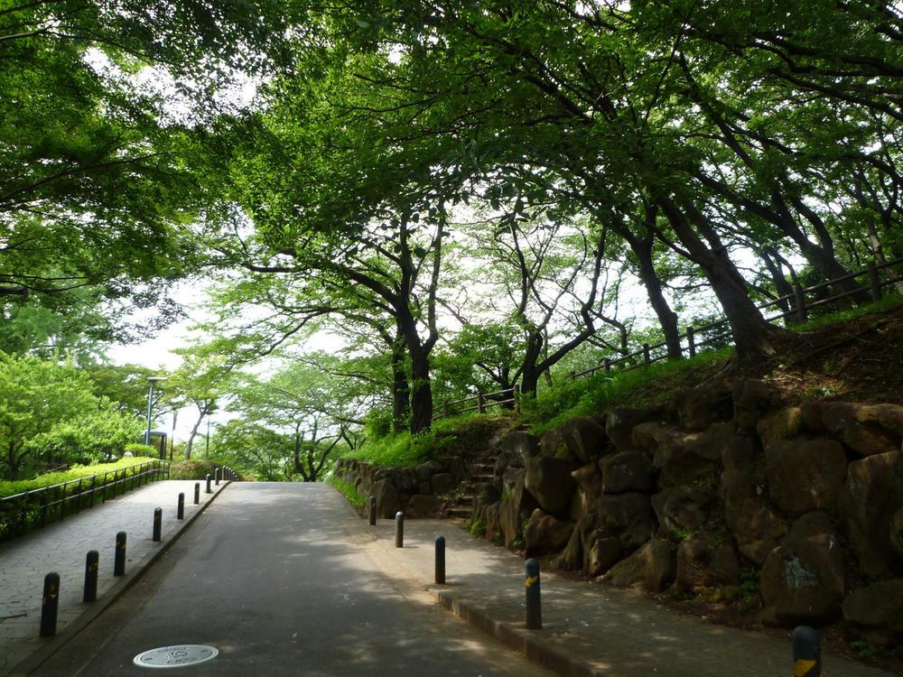 park. Okurayama park