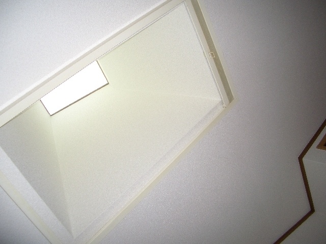 Other. Skylight there