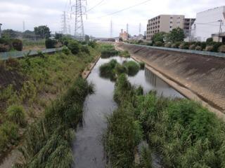 Other Environmental Photo. Until Hayafuchi river dry riverbed 130m