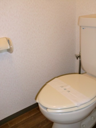 Toilet. ※ It will be in the photo of another in Room