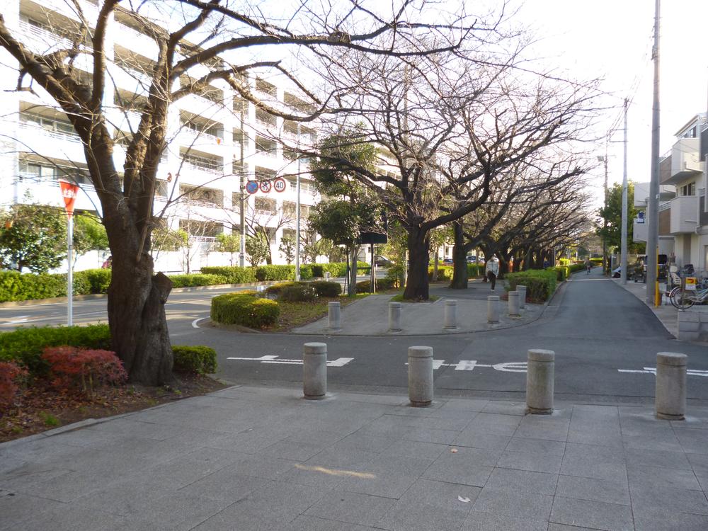 Streets around. Next to the apartment Futoo green road has run. Beautiful bloom cherry blossoms in spring, You can enjoy the atmosphere of the four seasons.
