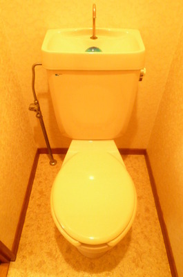 Toilet. Toilet