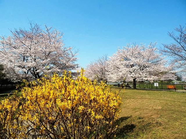 park. 2546m to Shin-Yokohama Station green space