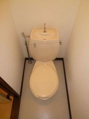Toilet. After your toilet, Let's close the lid! May fortune rises