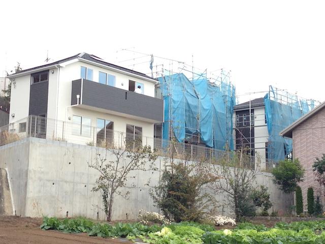 Local appearance photo. From the south