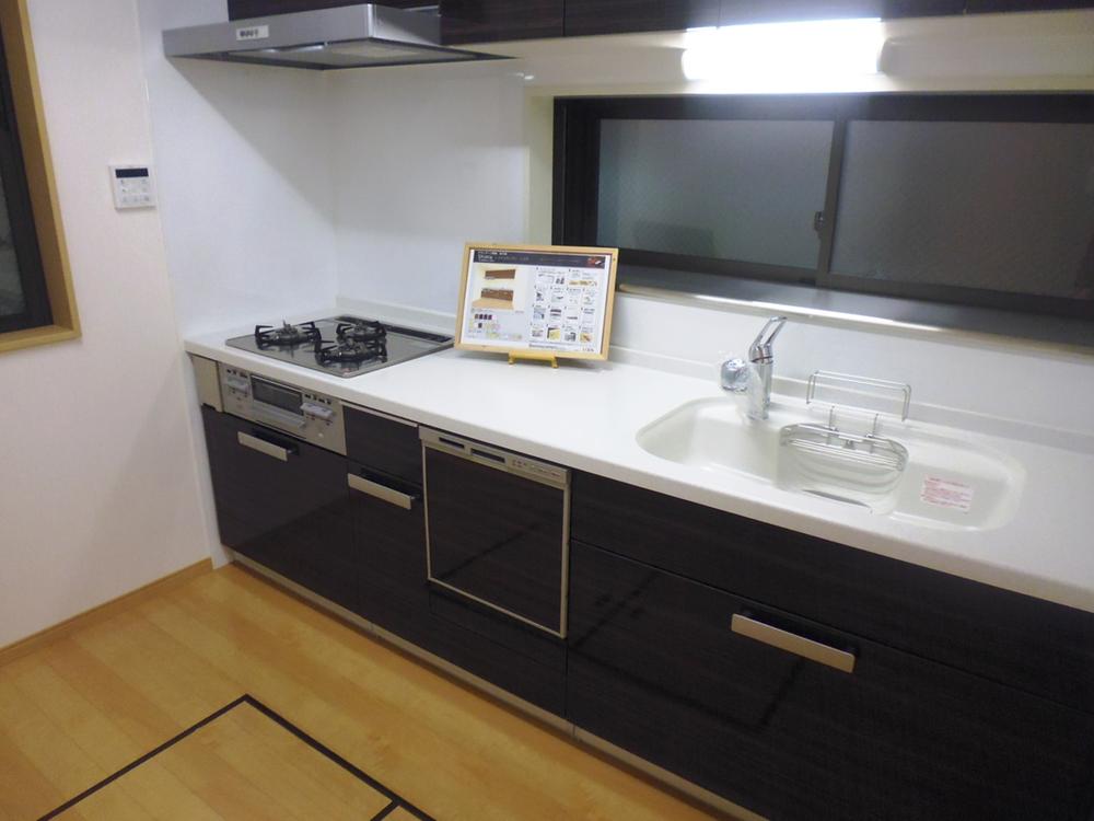 Kitchen. Built-in dishwashing With water purifier System kitchen
