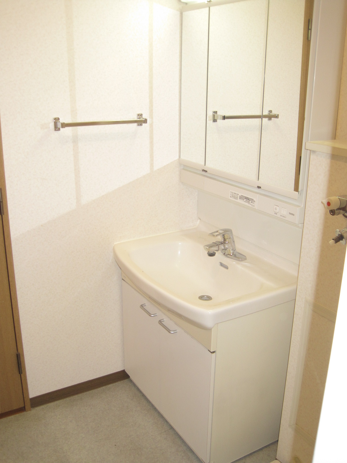 Washroom. Bathroom vanity