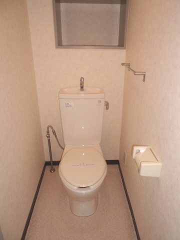 Toilet. Toilet with cleanliness