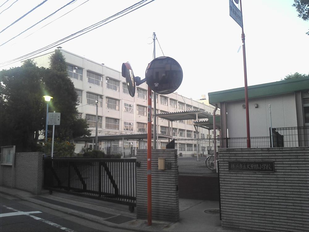 Primary school. Until Ozone Small 200m