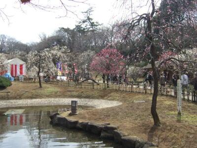park. 600m until Okurayama plum grove park