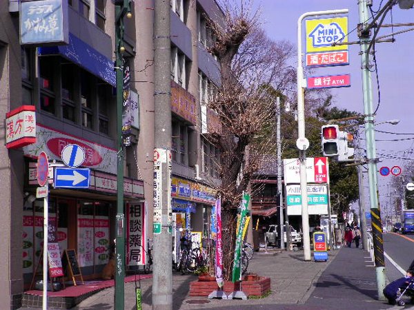 Convenience store. MINISTOP Tsunashima store up (convenience store) 781m