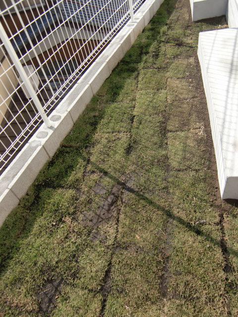 Garden. Local (11 May 2013) Shooting