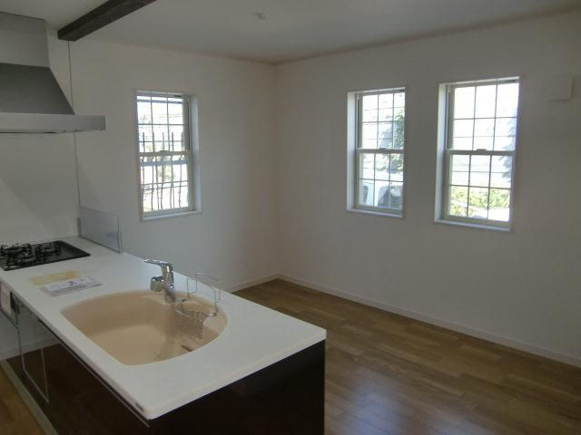 Kitchen. Indoor (11 May 2013) Shooting