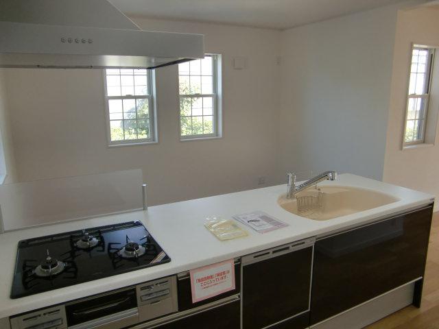 Kitchen. Indoor (11 May 2013) Shooting