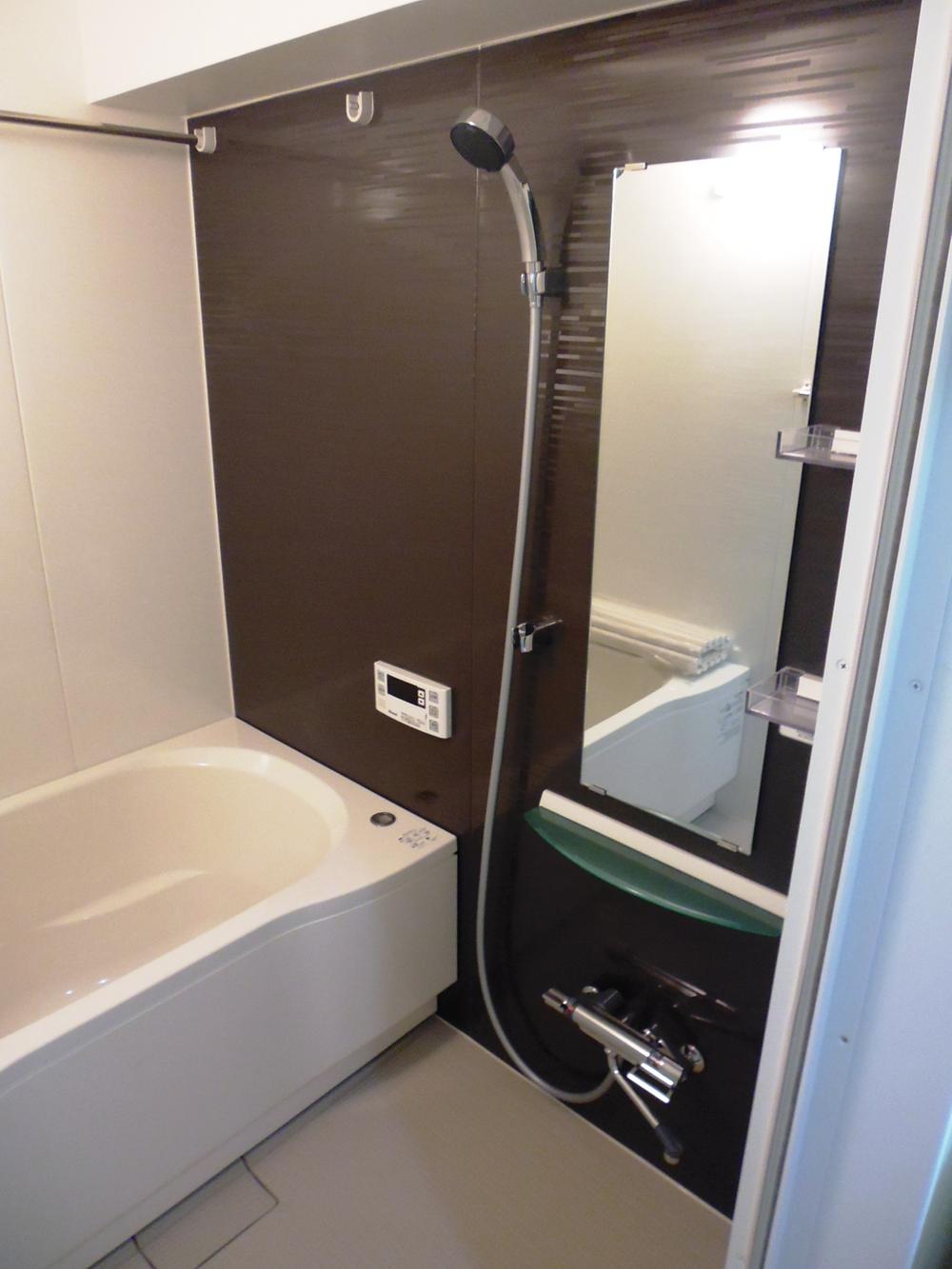 Bathroom. Indoor shooting