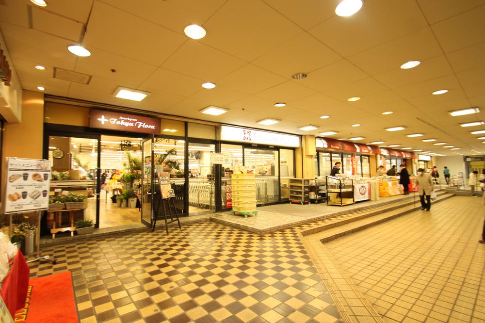 Other. Tokyu Store Chain