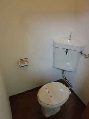 Toilet. Toilet